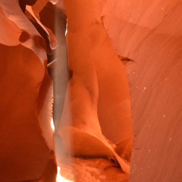 博业体育老虎机